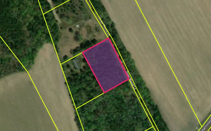 Pictures of Land, Mixed Use, Mobile Home Park, Multifamily property located at Snow Mound Ln, Manning, SC 29102 for sales - image #1