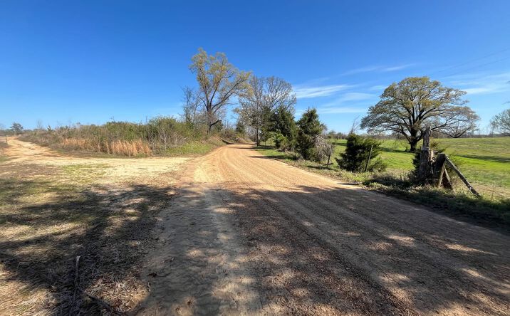 Pictures of Land property located at 0 Malmaison Rd, Carrollton, MS 38917 for sales - image #1