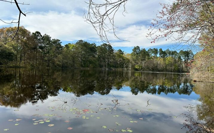 Pictures of Land property located at 0 Sam Smith Road, Poplarville, MS 39470 for sales - image #1