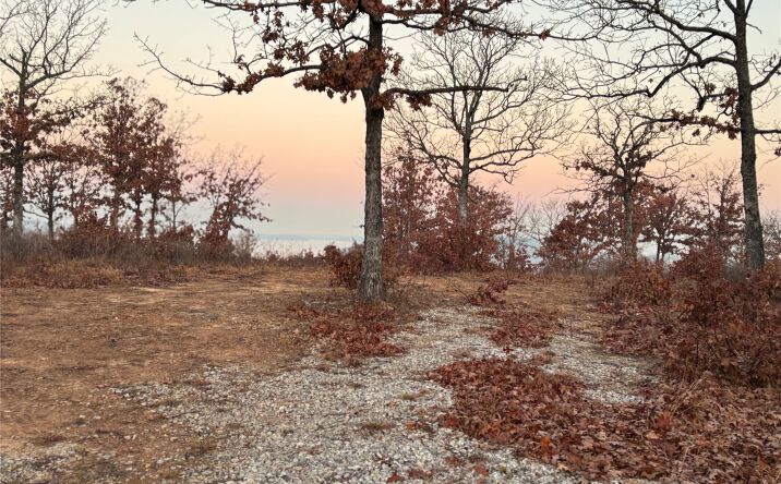 Pictures of Land property located at 94 Lake Road, Sperry, OK 74073 for sales - image #1