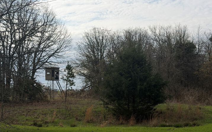 Pictures of Land property located at 5 1960 Road, Antlers, OK 74523 for sales - image #1