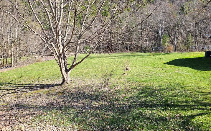 Pictures of Land, Multifamily property located at 1843 St Clair Creek Rd, Chilhowie, VA 24319 for sales - image #1