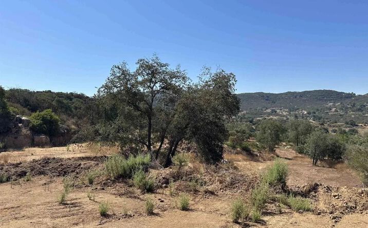 Pictures of Land property located at 16223 Lawson Valley, Jamul, CA 91935 for sales - image #1