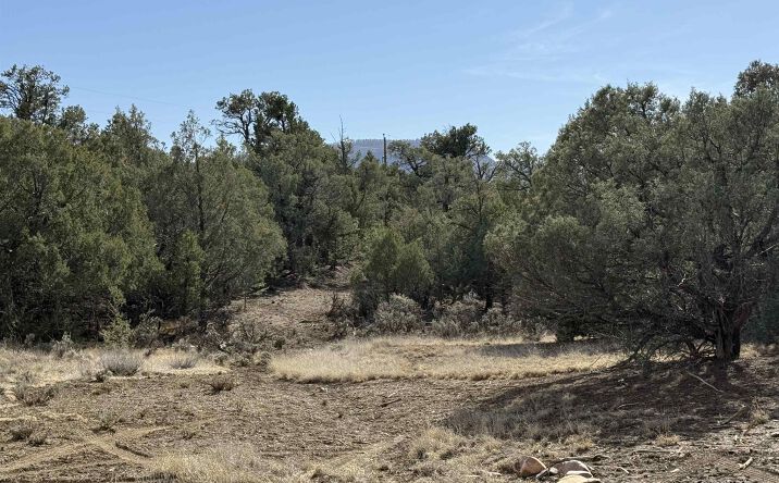 Pictures of Land property located at Christy Lane Lane, Los Ojos, NM 87551 for sales - image #1