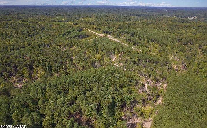 Pictures of Land property located at N Old Cave Springs Road, Henderson, TN 38340 for sales - image #1