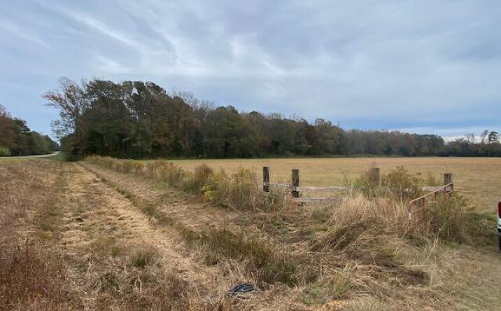 Pictures of Land property located at Marty Stuart, Philadelphia, MS 39350 for sales - image #1
