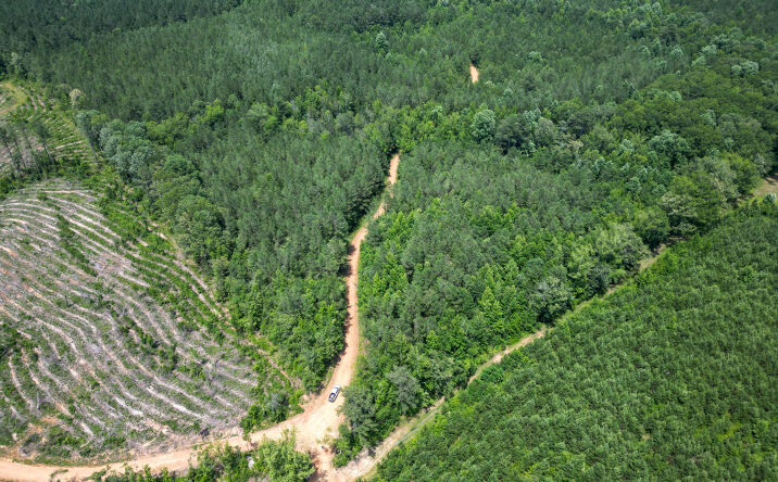 Pictures of Land property located at Bud Darby Road, Noxapater, MS 39346 for sales - image #1