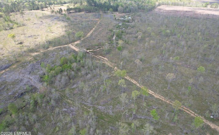 Pictures of Land property located at 0000 Hayes Nute Road, Waynesboro, MS 39367 for sales - image #1