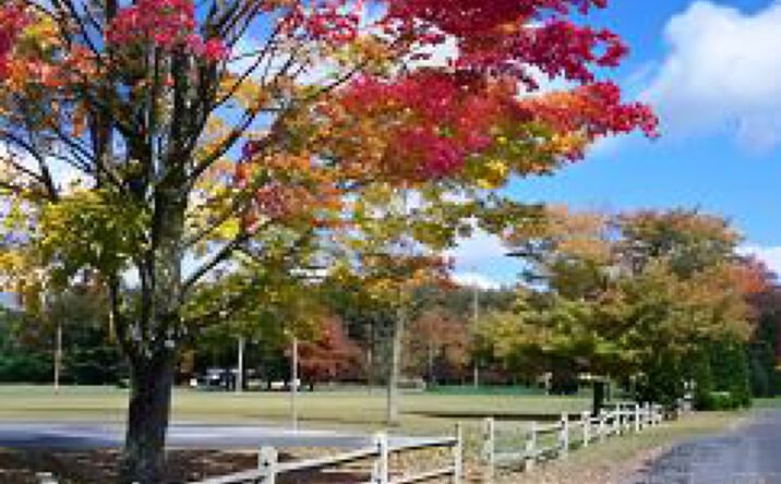 Pictures of Multifamily property located at 0 Some Street, Anywhere, PA 00000 for sales - image #1