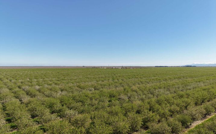 Pictures of Land property located at 5554 N Russell Ave, Firebaugh, CA 93622 for sales - image #1