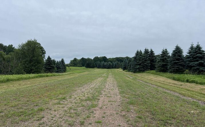 Pictures of Land property located at Lot 10 - State Hwy. 45, Wittenberg, WI 54499 for sales - image #1