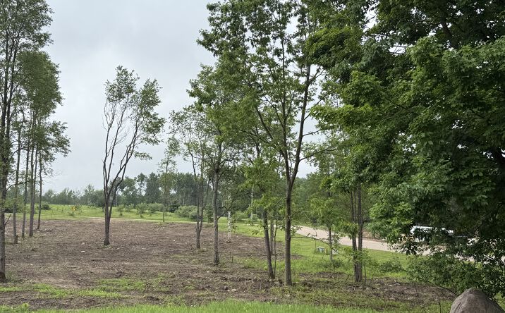 Pictures of Land property located at Jason Street, Lot 13, Wittenberg, WI 54499 for sales - image #1