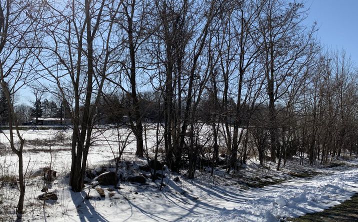 Pictures of Land property located at Home St, Wittenberg, WI 54499 for sales - image #1