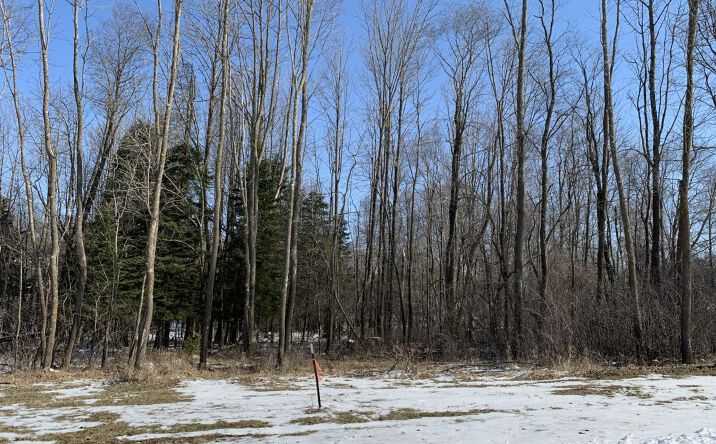 Pictures of Land property located at Lot 7, Nicholas Avenue, Wittenberg, WI 54499 for sales - image #1
