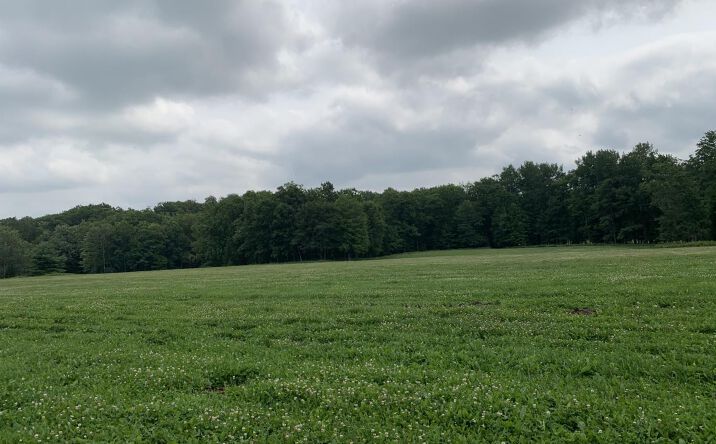 Pictures of Land property located at 178375 Mission Lake Rd, Hatley, WI 54440 for sales - image #1