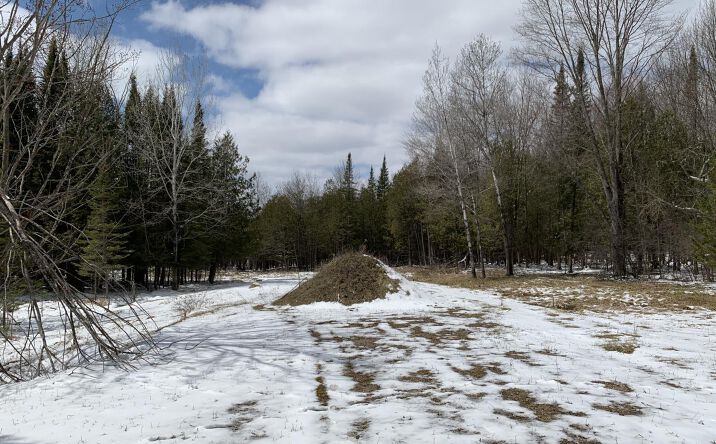 Pictures of Land property located at Keegan Cour, Lot 20, Wittenberg, WI 54499 for sales - image #1