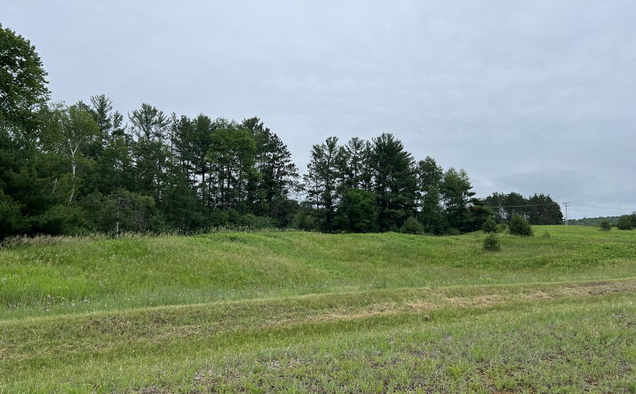 Pictures of Land property located at Lot 6, Sue Alan Drive, Wittenberg, WI 54499 for sales - image #1