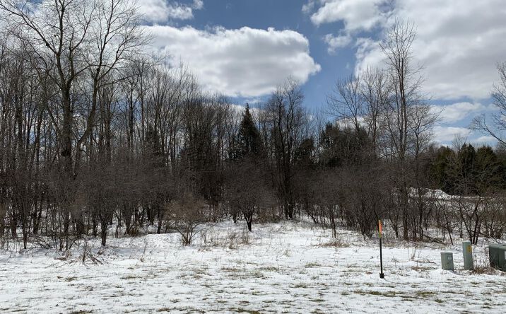 Pictures of Land property located at Jason Street, Lot 14, Wittenberg, WI 54499 for sales - image #1