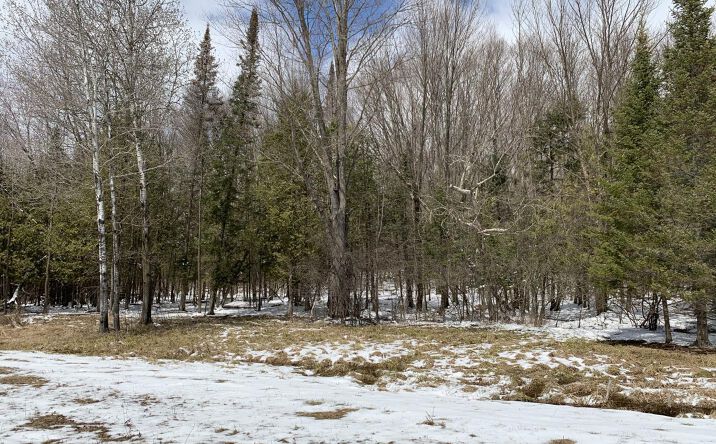 Pictures of Land property located at Keegan Court, Lot 18, Wittenberg, WI 54499 for sales - image #1