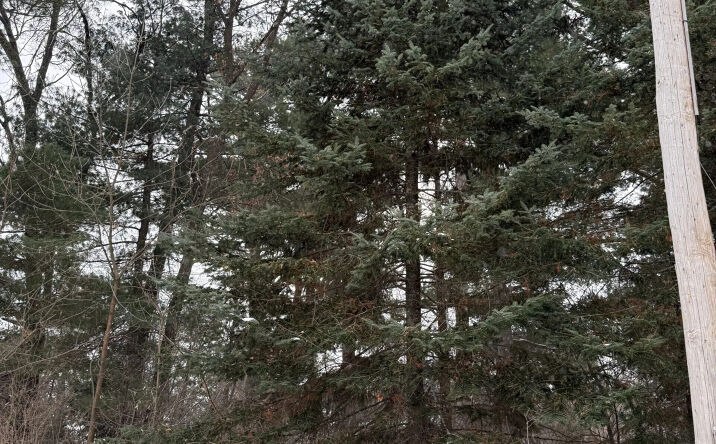 Pictures of Land property located at 2007 Bloedel Ave, Schofield, WI 54476 for sales - image #1