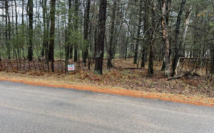 Pictures of Land property located at Silver Shore Ln, Saint Germain, WI 54558 for sales - image #1