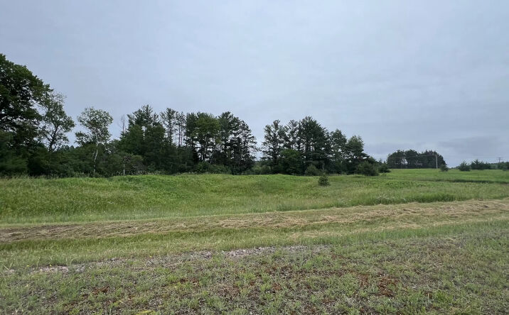 Pictures of Land property located at Lot 7, Sue Alan Drive, Wittenberg, WI 54499 for sales - image #1
