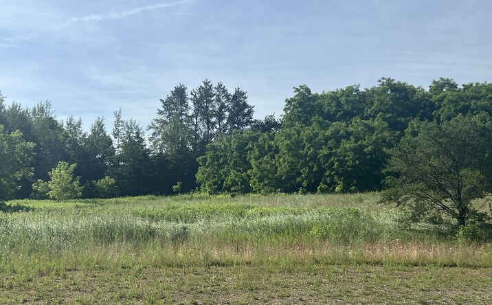 Pictures of Land property located at Liberty Dr, Wittenberg, WI 54499 for sales - image #1