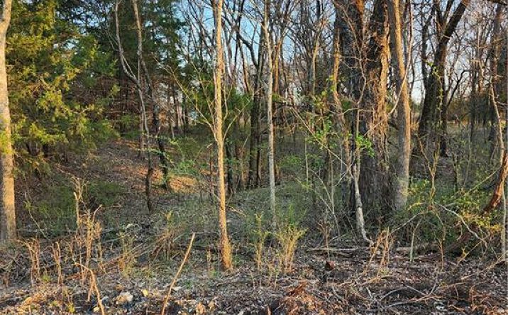 Pictures of Land, Special Purpose property located at 62 S Linn Valley Drive, Linn Valley, KS 66040 for sales - image #1