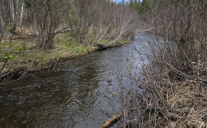 Pictures of Land property located at Gendreau Rd, Madawaska, ME 04756 for sales - image #1