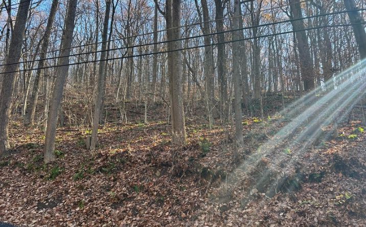 Pictures of Land property located at 120 Millbrook Rd, Washington, NJ 07882 for sales - image #1
