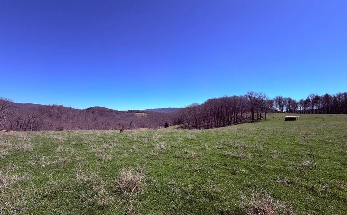 Pictures of Land, Multifamily property located at TBD Odell Rd., Wytheville, VA 24382 for sales - image #1