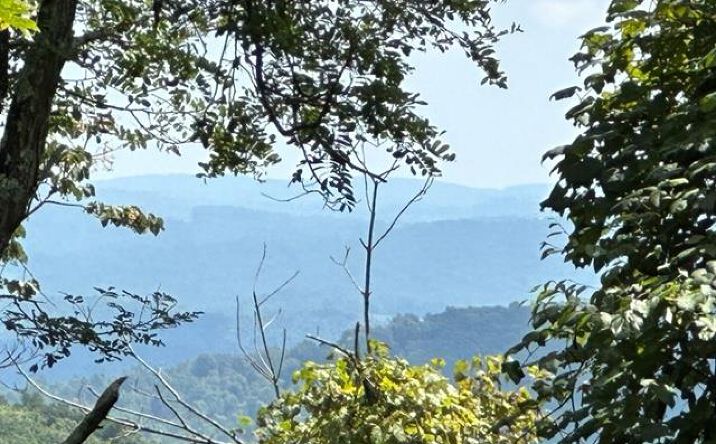 Pictures of Land, Multifamily property located at TBD Black Rock Mountain Ln., Independence, VA 24348 for sales - image #1