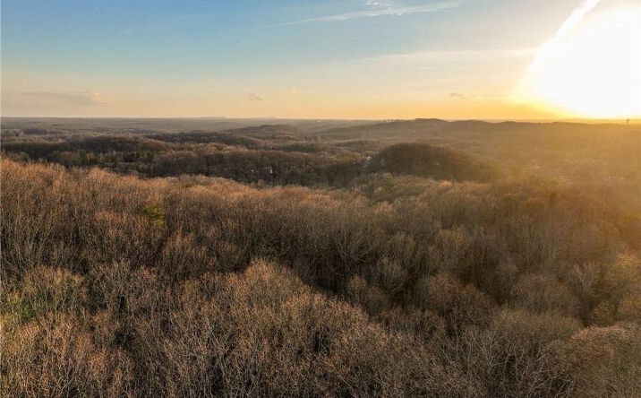Pictures of Land property located at Lot 2 Mount Mincie Road, Murrayville, GA 30564 for sales - image #1