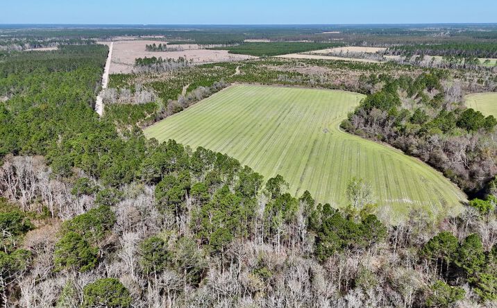Pictures of Land property located at Ingram Rd, Odum, GA 31555 for sales - image #1
