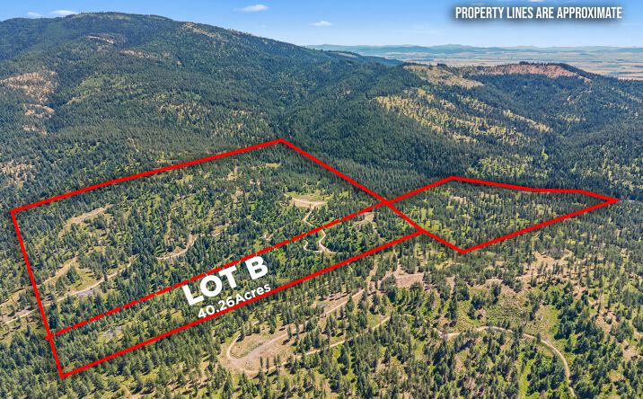 Pictures of Land property located at NKA E Belmont Rd, Mica, WA 99023 for sales - image #1