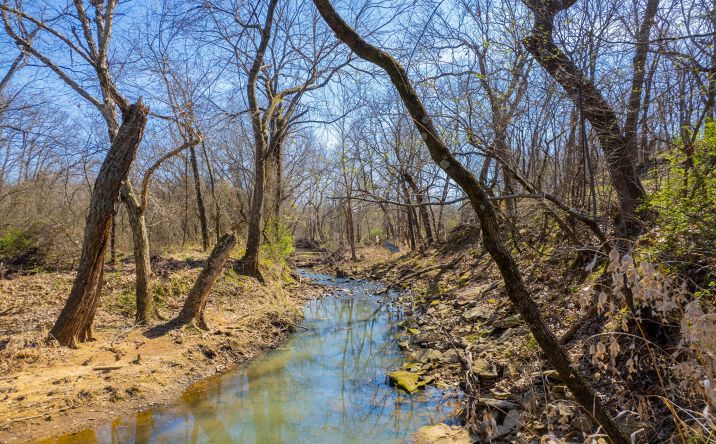Pictures of Land property located at 67 S 4320 Road, Big Cabin, OK 74332 for sales - image #1
