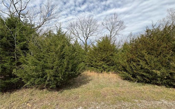 Pictures of Land, Special Purpose property located at 5 Itasca Lane, La Cygne, KS 66040 for sales - image #1