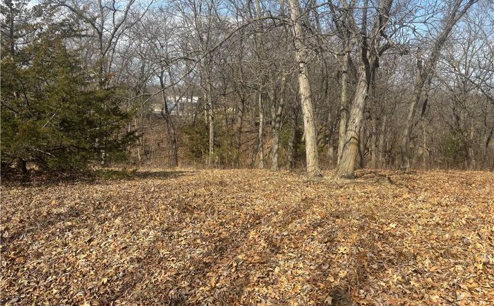 Pictures of Land, Special Purpose property located at Lot 3109 Lake Viking Terrace, Altamont, MO 64620 for sales - image #1