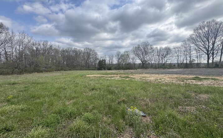 Pictures of Land property located at 900 Old Route 146 Loop, Vienna, IL 62995 for sales - image #1