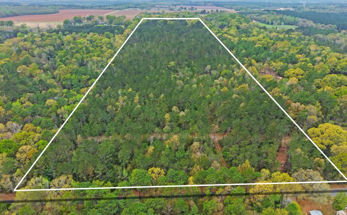 Pictures of Land property located at 0 Tom Shivers Rd, Flomaton, AL 36441 for sales - image #1