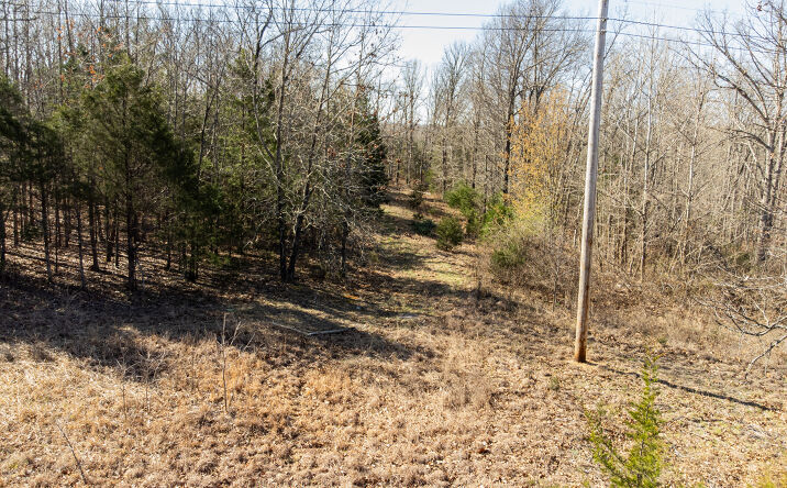 Pictures of Land property located at 10540 Arlington Rd, Newburg, MO 65550 for sales - image #1