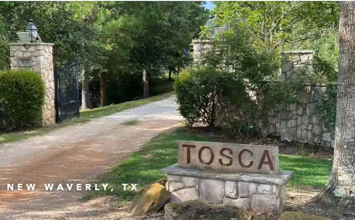 Pictures of Land property located at 231 Hostetter Rd, New Waverly, TX 77358 for sales - image #1