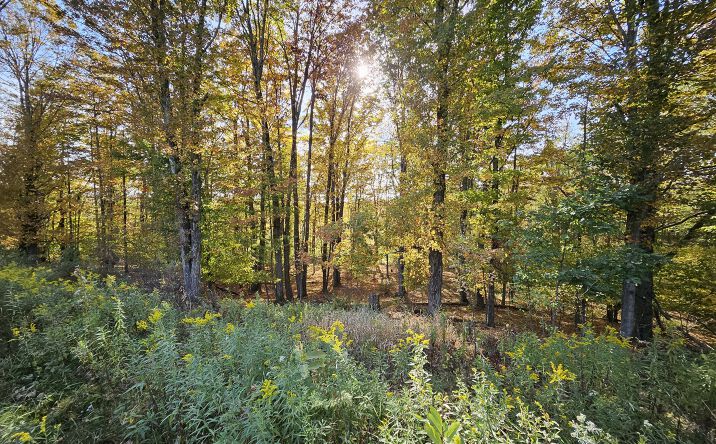 Pictures of Land property located at Emmert Rd, Saint Marys, PA 15857 for sales - image #1