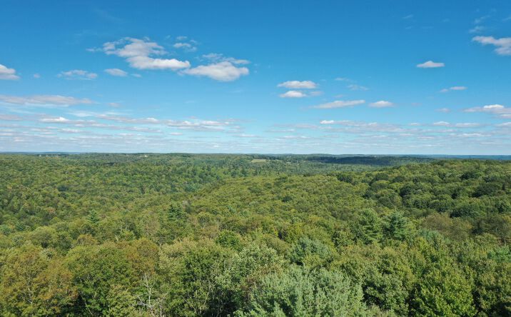 Pictures of Land property located at Hull Hill Rd, Youngsville, PA 16371 for sales - image #1