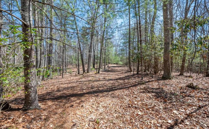 Pictures of Land property located at Lot 12 Ridge Line Trail, Independence, VA 24348 for sales - image #1