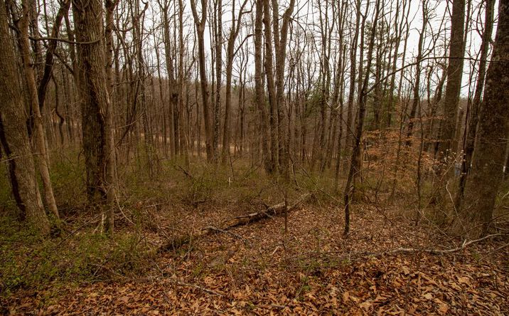 Pictures of Land, Multifamily property located at Lot 356 Scotch Pine Dr, Copper Hill, VA 24079 for sales - image #1
