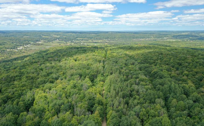 Pictures of Land property located at Jones Hill Rd, Sugar Grove, PA 16350 for sales - image #1