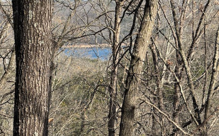 Pictures of Land property located at 190 Edgewater Rd, Eureka Springs, AR 72631 for sales - image #1
