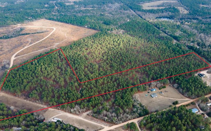 Pictures of Land property located at Fairview Rd, Leesville, SC 29070 for sales - image #1