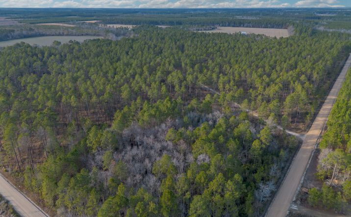 Pictures of Land property located at Reddish Rd, Odum, GA 31555 for sales - image #1